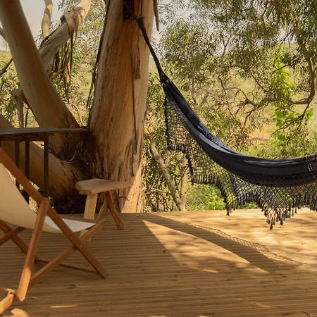 Soul Farm Algarve - Glamping & Farm Houses Aljezur Kültér fotó