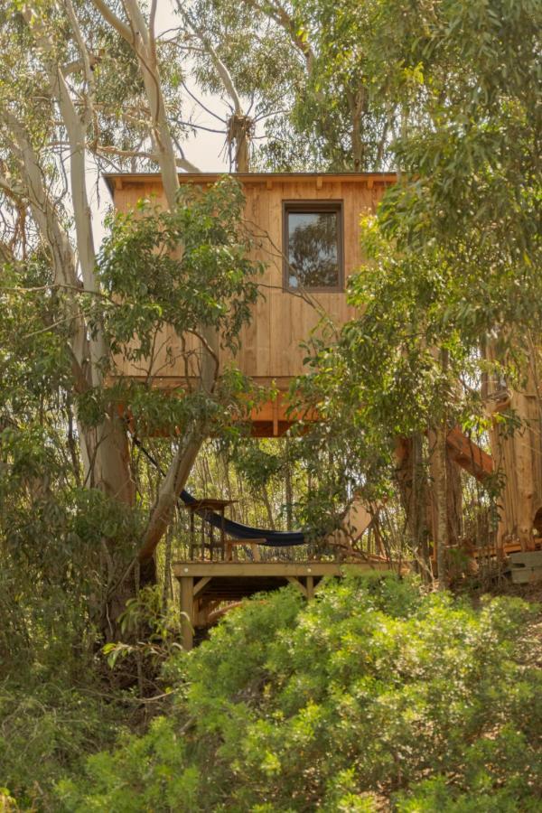 Soul Farm Algarve - Glamping & Farm Houses Aljezur Kültér fotó