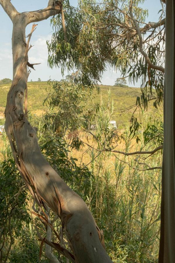 Soul Farm Algarve - Glamping & Farm Houses Aljezur Kültér fotó